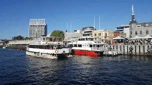 valdivia-chile-river abogado