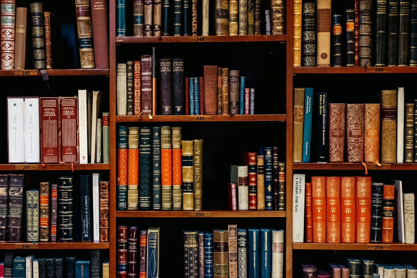 adolfoquistoabogado.cl assorted-title of books piled in the shelves