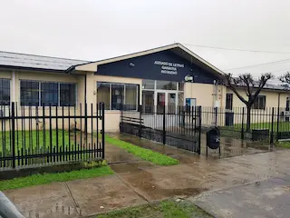 Abogado penalista en rio Bueno